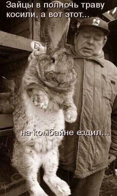 Кролики — это не только ценный мех, но и...