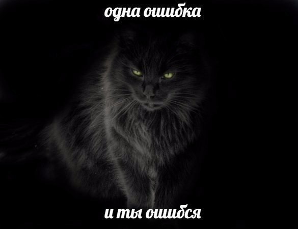 Котокартинки
