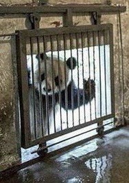 Забавные комментарии из социальных сетей (12.02.24)