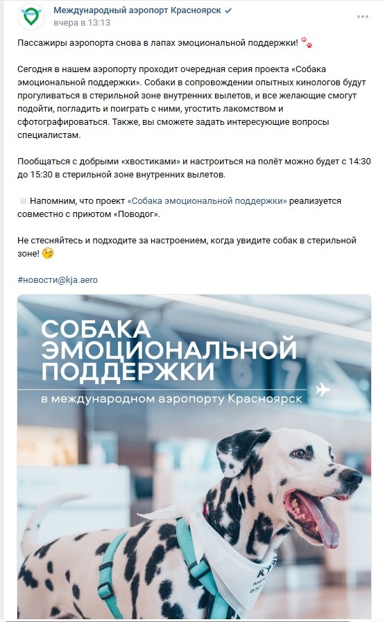 В аэропорту Стамбула появились собаки-терапевты, которые помогают расслабиться всем, кто боится перелетов