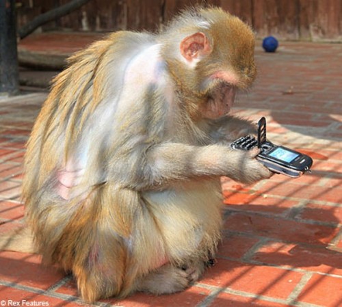 Клиентоориентированность