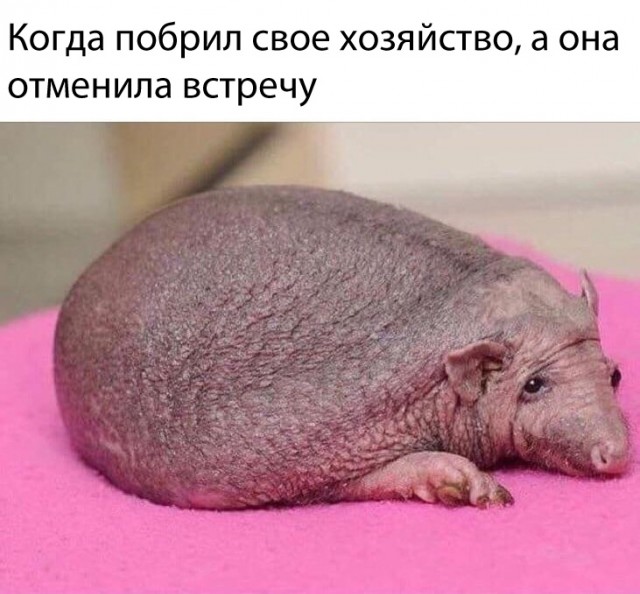 Прикольные и просто красивые картинки 01.11.2024