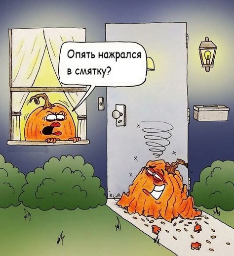 Так себе картинки 08.11.24