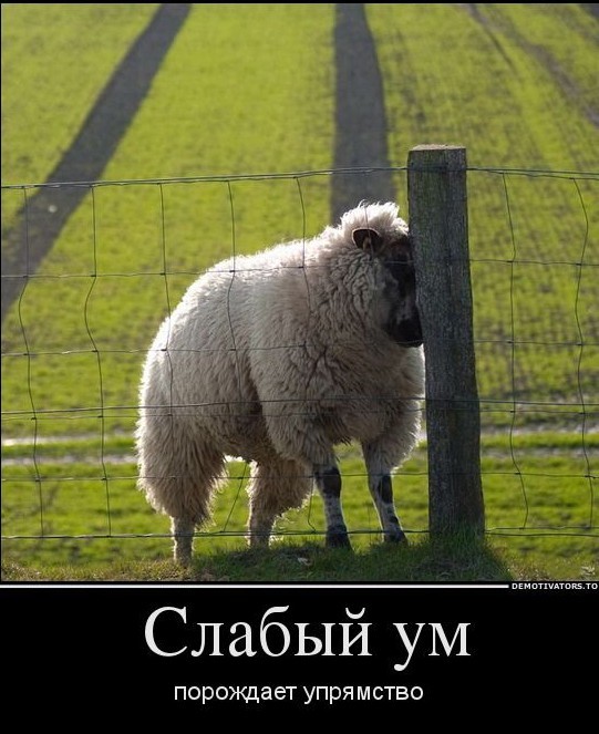 Прикольные и просто красивые картинки