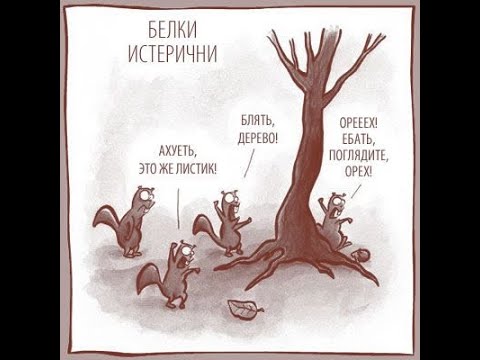 Путин подписал указ о призыве на сборы находящихся в запасе