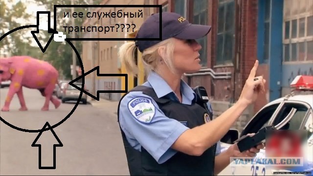 Полицейские мира