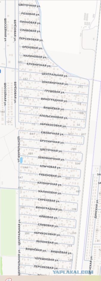 Пройду по Абрикосовой, сверну на Виноградную...