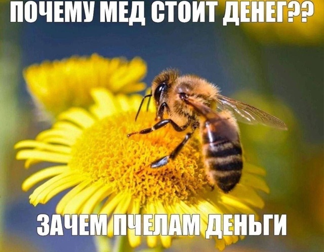 Набери меня...