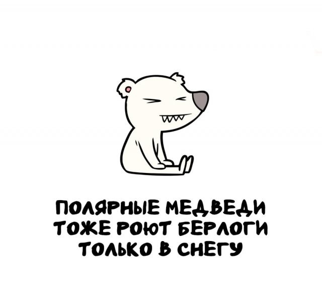 Интересные и короткие факты на все случаи жизни 05.01.26
