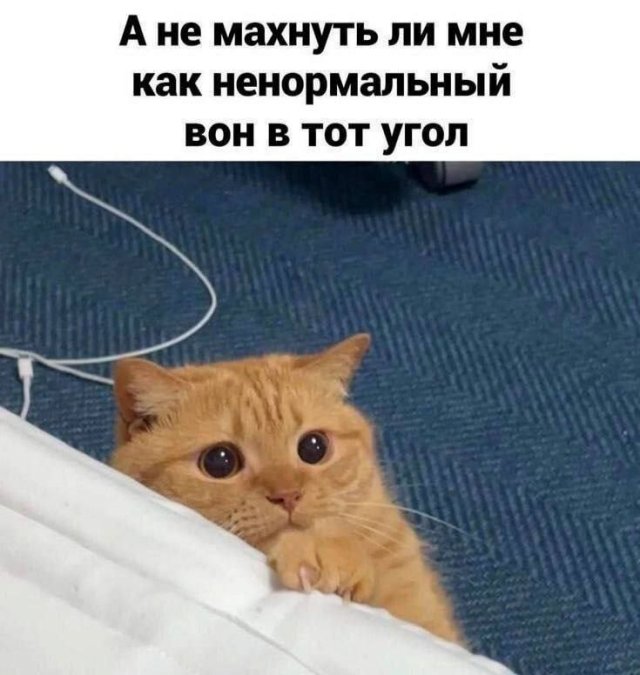 Картинки для деградации 135 (разной степени свежести)