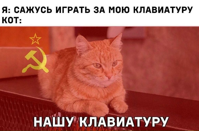 Назовете слово целиком?