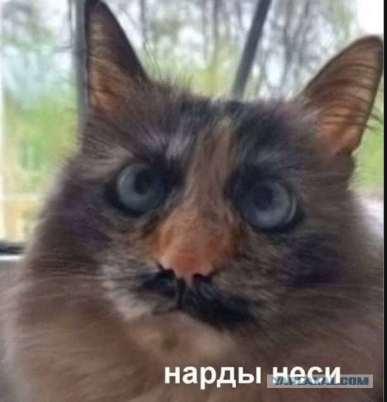 Барбершоп по-армянски