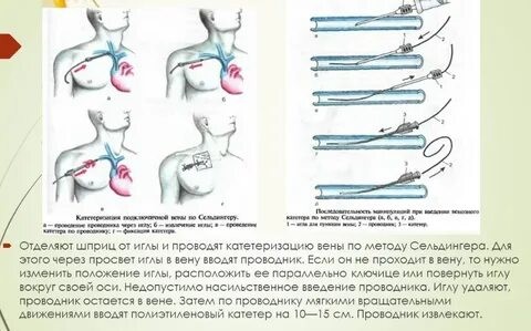 Одна за всех