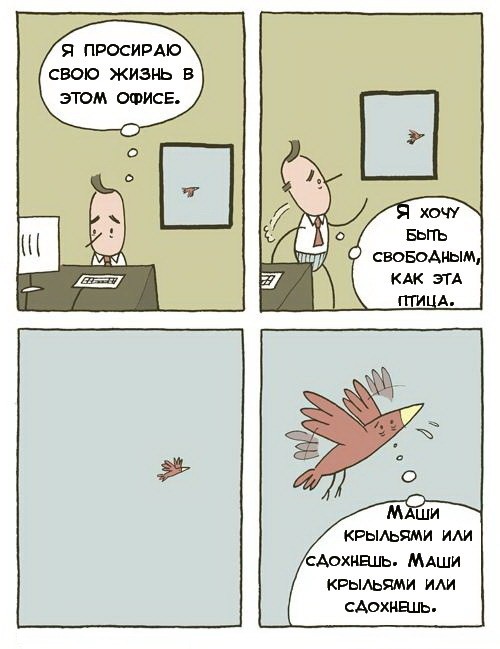Вы когда-нибудь видели более совершенную демонстрацию полета?