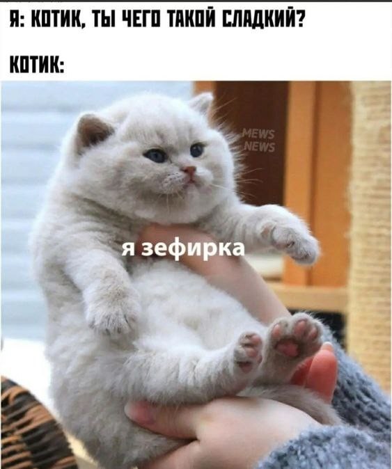 Виктор Цой забыл слова