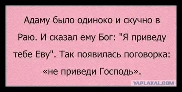 Пятничные бояны