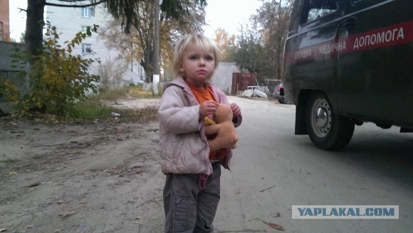Лучшие проявления доброты в 2013 году