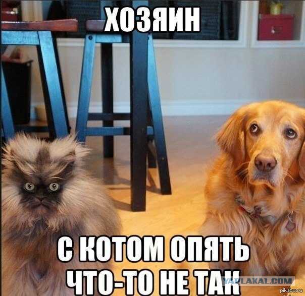 Приколы и маразмы