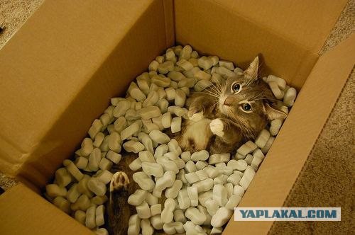 Давай к нам.