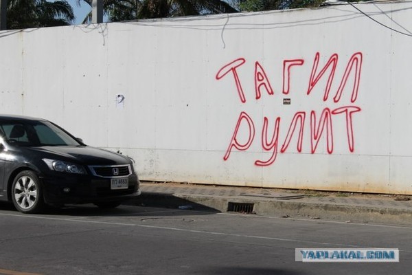 Выносящие мозг надписи на асфальте