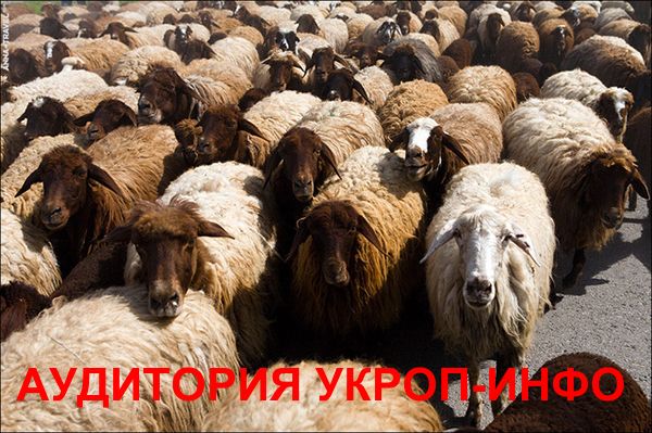 Информация от главного журналиста Украины