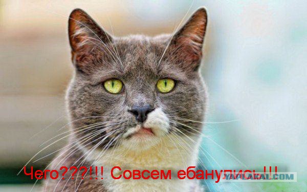 "Кавказская пленница" на новый лад