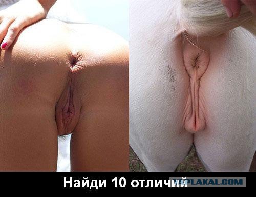 Ты будешь нашим королём