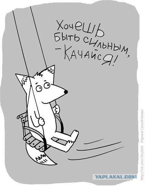 Подборка веселых картинок