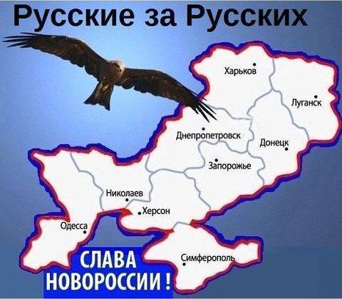 Погиб Алексеич (подразделение Мотороллы)