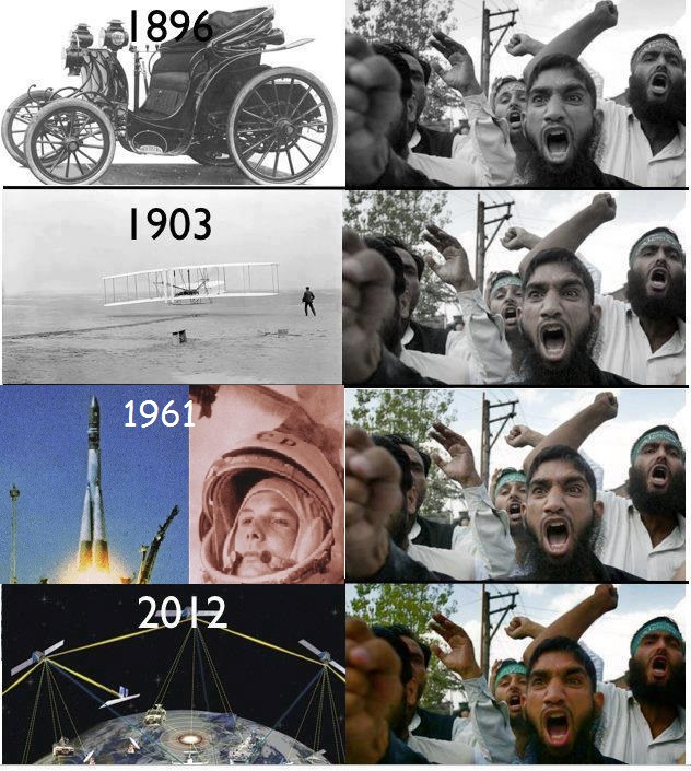 Месть верблюда