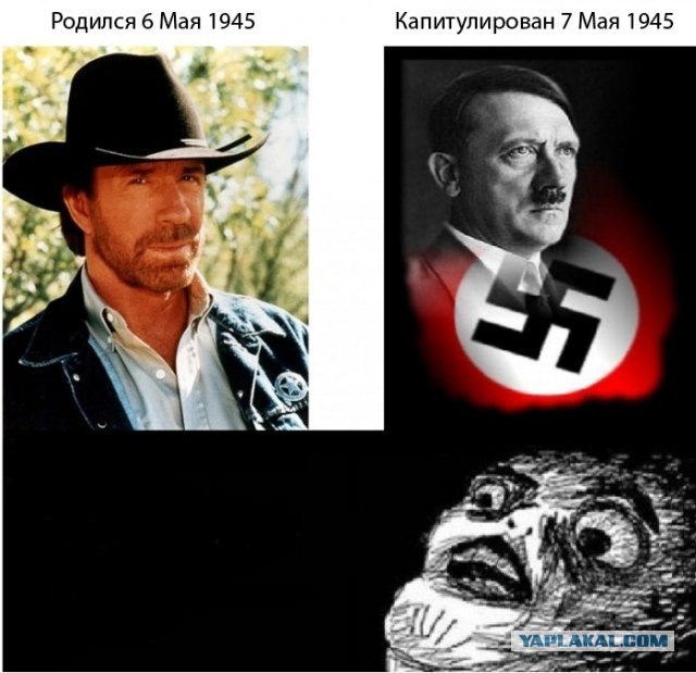 Полностью