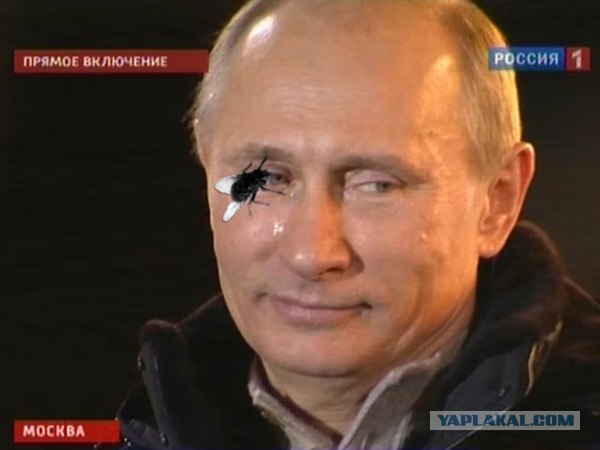 Слезы Путина