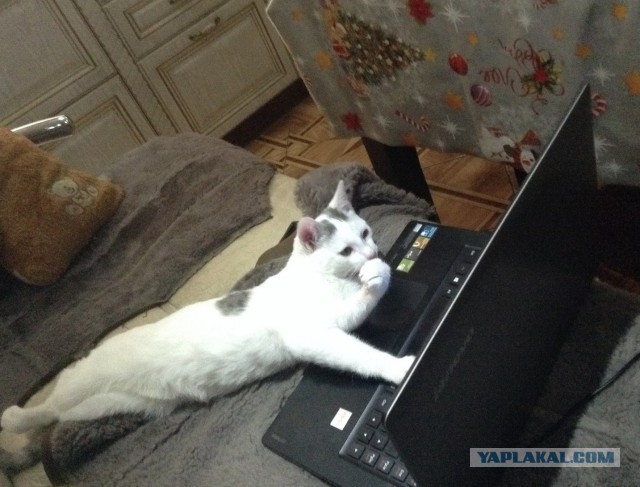 Сенсационные признания о тайных операциях США