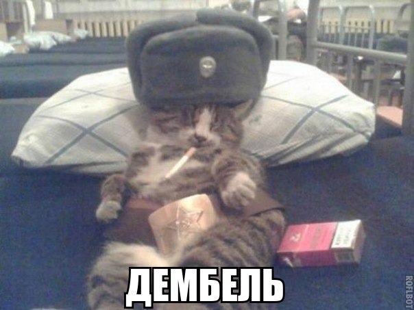 Очередные картинки и высказывания из сети