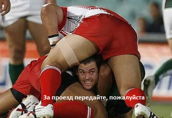 Картинки