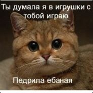 Дай поцелую...