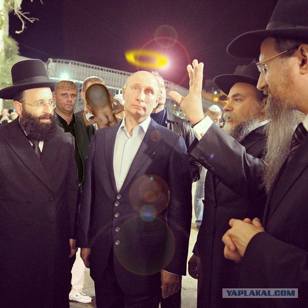 Свой среди своих