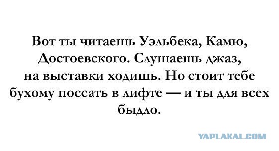 Дебоширка в аэропорту
