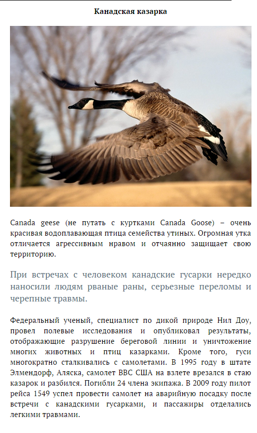 Мелочи жизни в Швеции