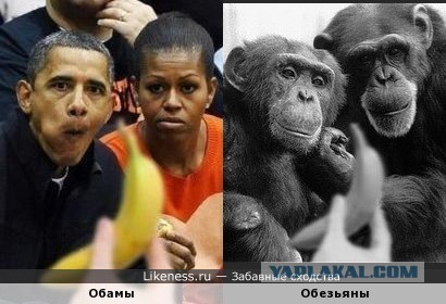 Путин, Обама и культура пития