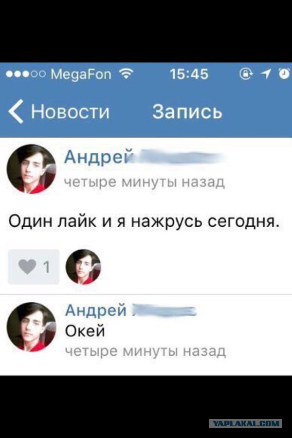 Смешные комментарии из социальных сетей