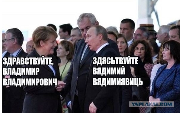 Фото которое сделало мой вечер.