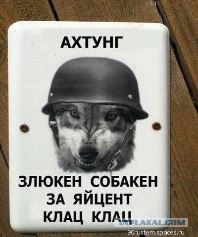 Wargaming 32
