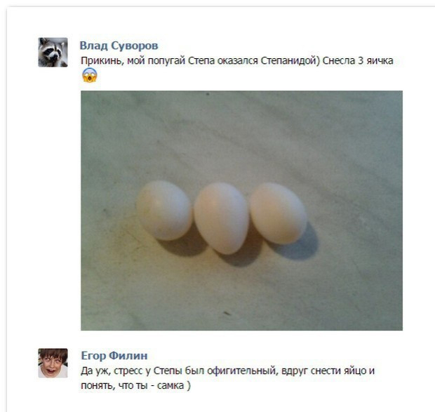 Смешные комментарии из социальных сетей 05.02.2016