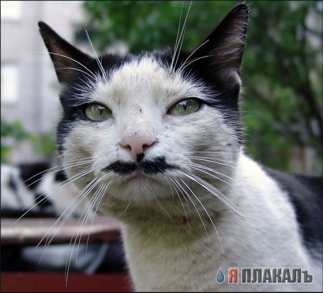 Уже да :) Ужо пятнецца...