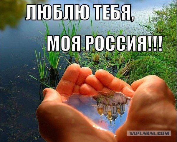 Подборка картинок