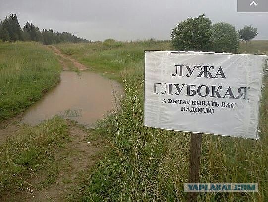 Картинки из сети, подборка