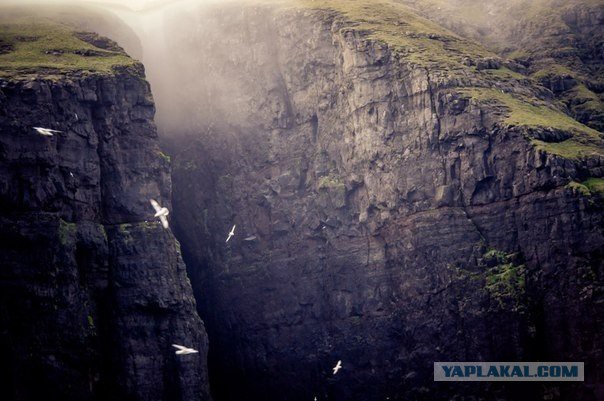Подборка картинок 29.03.16