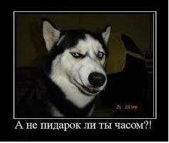 Из воронежского ресторана выгнали посетителей, заподозрив их в гомосексуализме