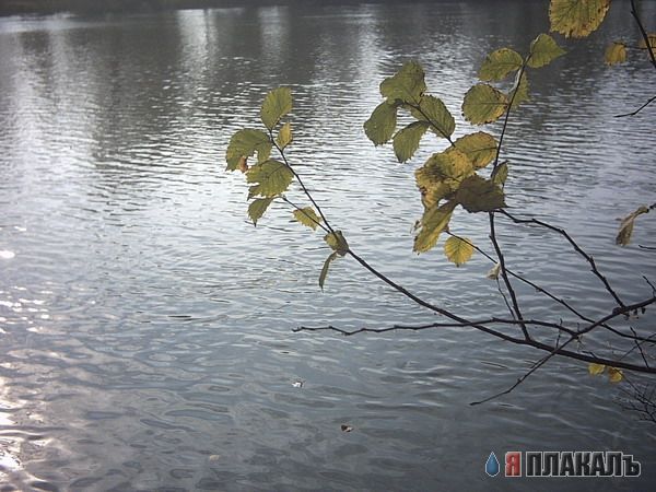 ВОДА. Моря, океаны, реки, водопады, капли, брызги